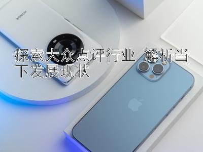 探索大众点评行业 解析当下发展现状